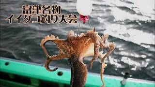 富津名物イイダコ釣り Youtube 富津名物イイダコ釣り Youtube