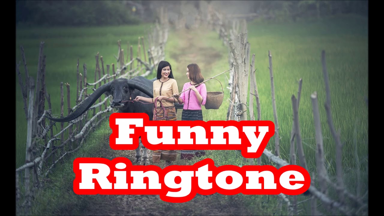 New Odia Funny Ringtone YouTube