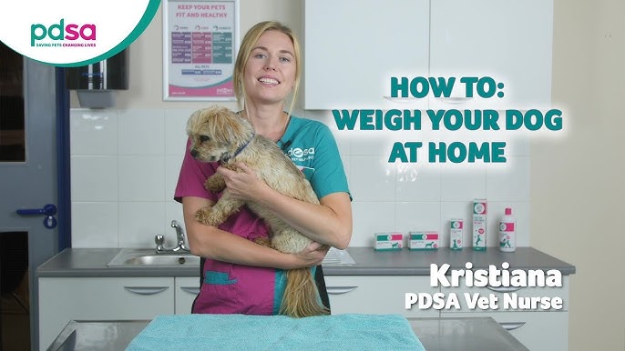 A Super Simple Way to Weigh Your Dog