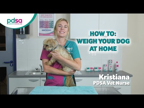 वीडियो: अपने पिल्ला के वयस्क वजन की गणना