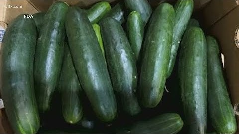 Cucumbers recalled in 14 states due to salmonella risk
