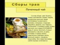 Почечный чай
