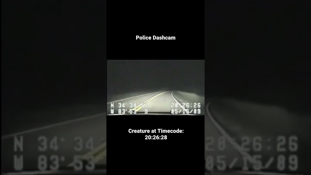 Bigfoot Caught On Police DashCam Dashcam 