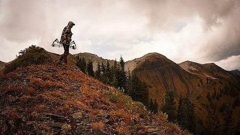 2021 Colorado high country Archery Deer hunt
