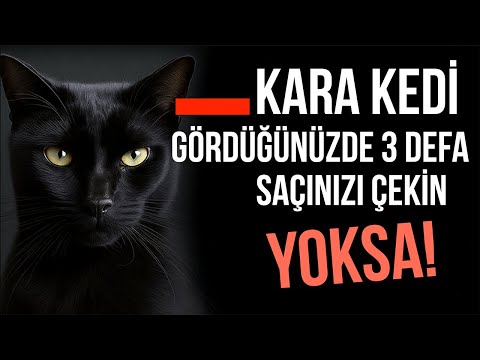 KARA KEDİLERİN TÜYLER ÜRPERTEN KARANLIK TARİHİ