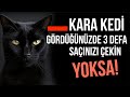 KARA KEDİLERİN TÜYLER ÜRPERTEN KARANLIK TARİHİ