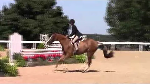 Video of DREAMSICLE ridden by HANNAH LOEFFELBEIN f...