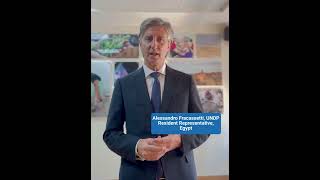 Undp Resident Representative On Governance Egypt