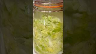 Sauerkraut #recipe #guthealth #loveyourgut #healthyfood #sauerkraut