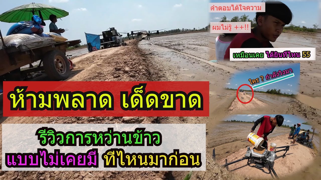 EP23:รีวิวหว่านข้าว 30 ไร่ 45 ลูก ที่นี่ที่เดียว T20P #โดรนเกษตร3พี่น้อง #หว่านข้าว #t20p #โดรนเกษตร