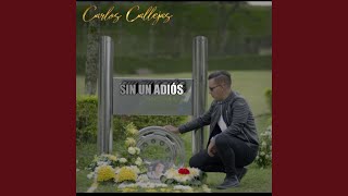 Sin un Adiós