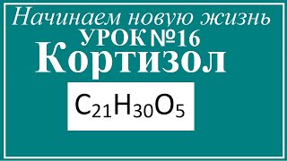 Урок №16. Кортизол. Что это?