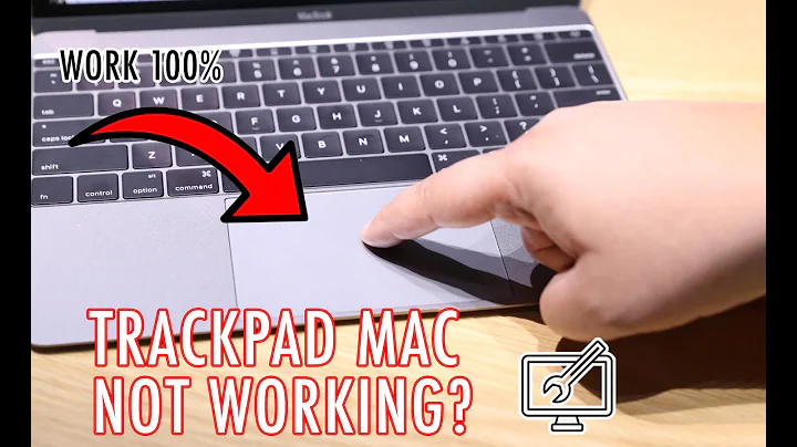 7 Ways to Fix Trackpad Mouse Not Working on Mac (Touchpad Error)