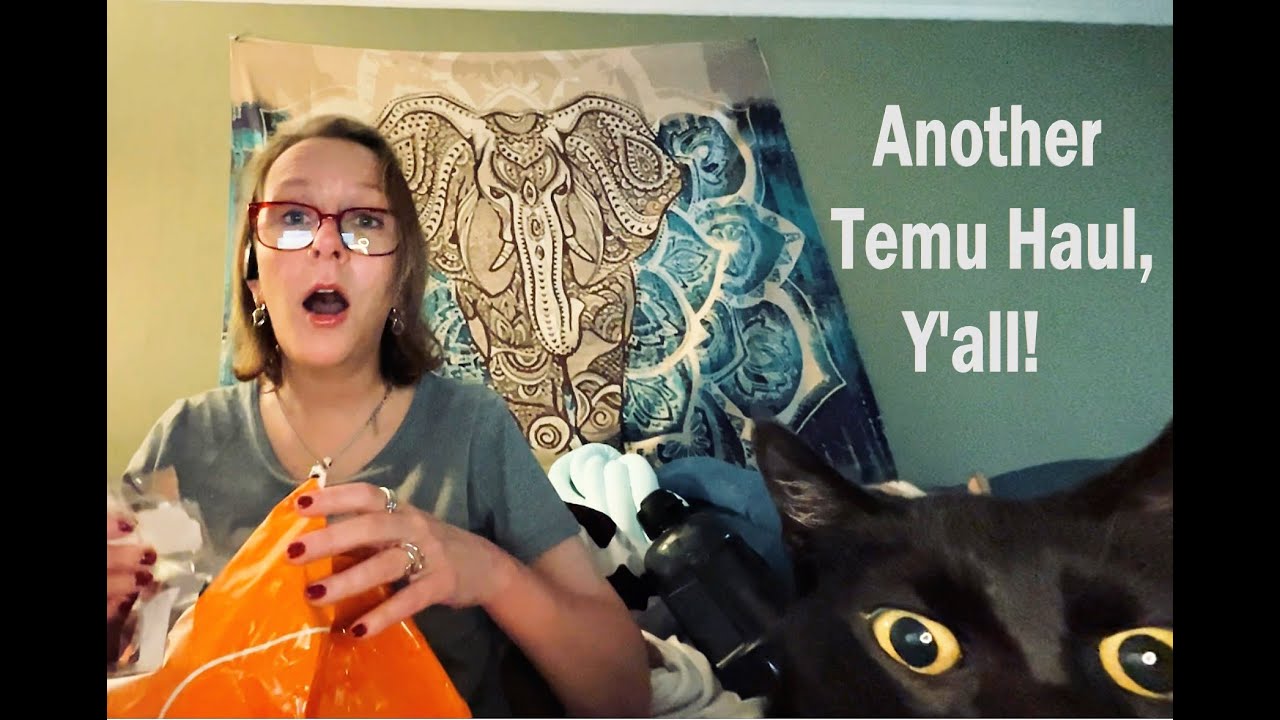 Another Temu Haul, OH MY! (Not sponsored)