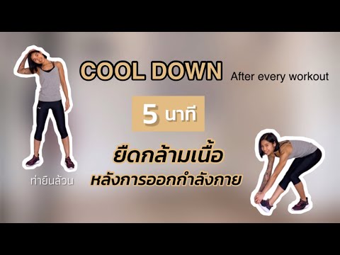 Cool Down 5 นาที คูลดาวน์ยืดกล้ามเนื้อหลังการออกกำลังกาย ด้วยท่ายืนล้วน | Janda Pa Fit |