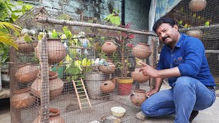 Australian parrots ki nayi colony taiyyar ki, matkiyan lagain | complete aviary | Hindi/Urdu