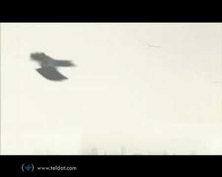 Getting the Edge (español)