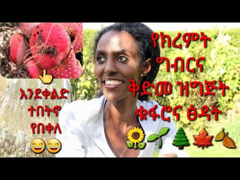 ቪዲዮ: ቅድመ-ታሪካዊ የአትክልት ንድፎች - እንዴት ጥንታዊ የእፅዋት አትክልት መፍጠር እንደሚቻል