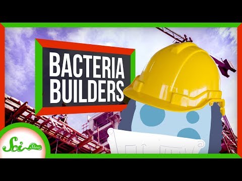 The Secret to Super Strong Concrete Is... Bacteria? thumbnail