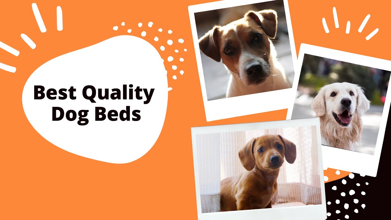 The Best Quality Dog Beds YouTube