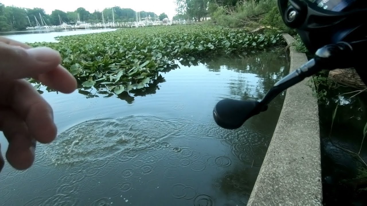 Almost lost a big Bass!