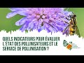 Quels indicateurs pour valuer ltat des pollinisateurs et le service de pollinisation 