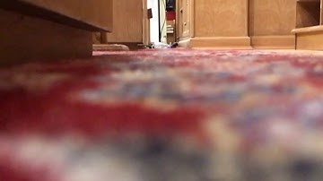 ( وَرَفَعَ أَبَوَيْهِ عَلَى الْعَرْشِ ) تلاوة حزينة للقارئ عمير شميم |  Umair Shamim Surah Al-Yusuf