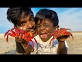       funny red crab hunting with kutti puli