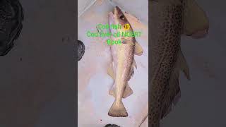 #lifedurg#LifeDurg#electrician #codfish #jammukashmir #ncert #cod#fish