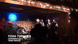 "live" texas tornados in luckenbach 2014 "adios mexico"