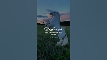 القرآن الكريم 721