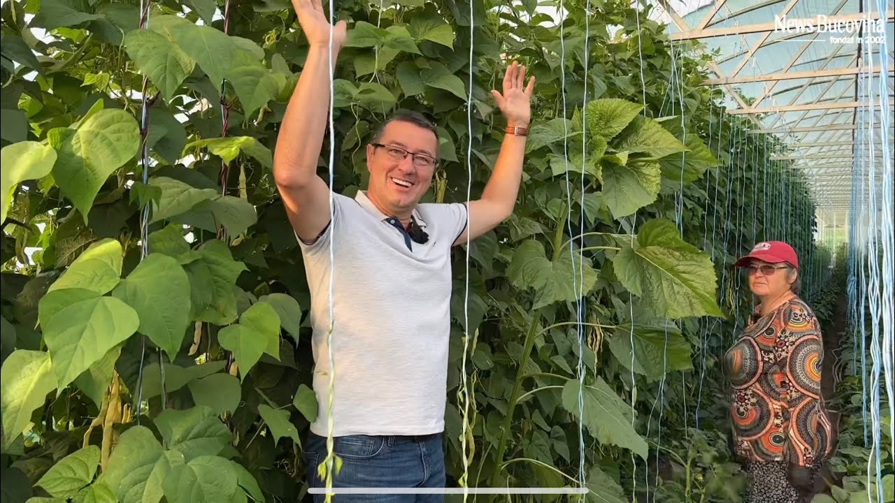 Au nevoie de LIFT in solar- Zidul de la Moara e unic!! Nu uitați...masa 106 - all in...