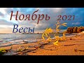 Весы Ноябрь 2021 Таро прогноз