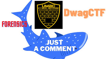 Just A Comment | DawgCTF | CTF