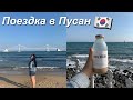 Корея-Поездка в Пусан/ Trip to Busan/부산 여행/я съела улитку?