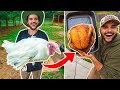 Backyard Farm PET TURKEY Catch Clean Cook!!! (Rip Eddie)