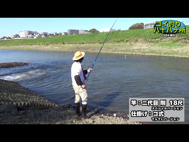 秘蔵 芳賀故城　コイの釣り方　シカケ・ポイント・釣技のすべて　金園社 秘蔵 芳賀故城 コイの釣り方 シカケ・ポイント・釣技のすべて 金園社