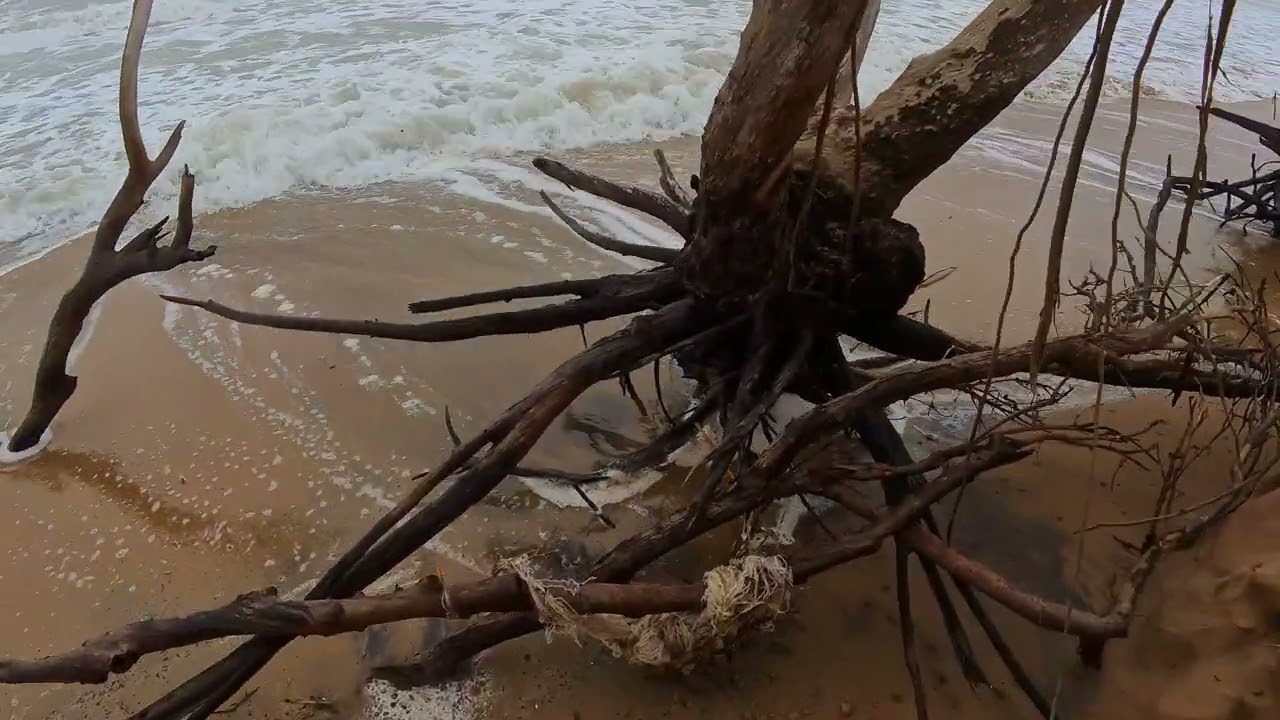 GUARDAMAR playa los viveros