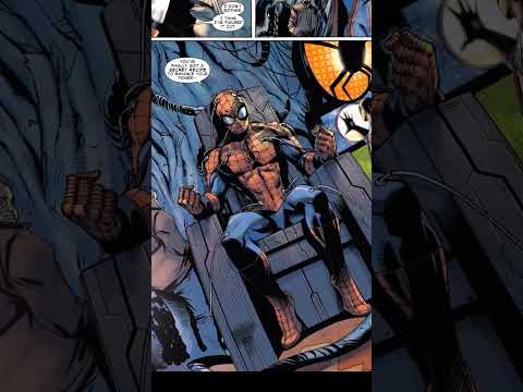 The Amazing Spider