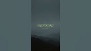 ﴿وله من في السماوات والأرض كل له قانتون﴾ تلاوة الشيخ #عبدالله_الموسى #سورة_الروم