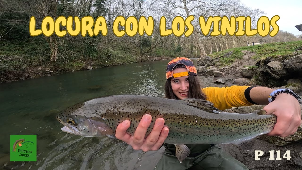 PROYECTO 114 | 😮LOCURA CON LOS VINILOS😮