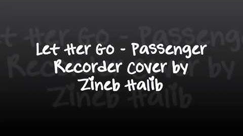 Let Her Go-Recorder Cover | Passenger