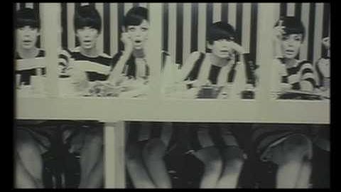 ポリー・マグーお前は誰だ？（予告編）