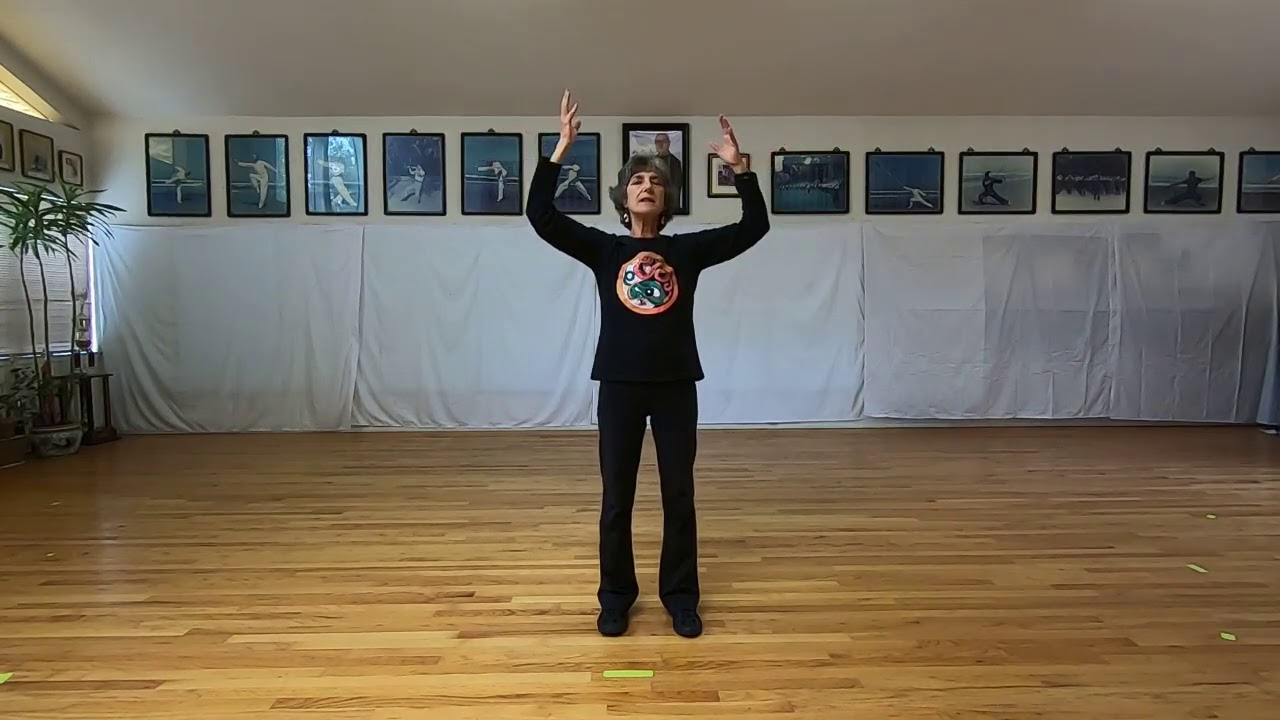 Wild Goose Qigong Warm-Up