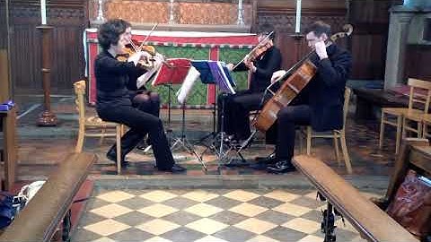 Theme from Jurassic Park - Signature String Quartet