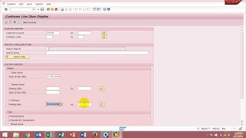 FBL5N Invoice States