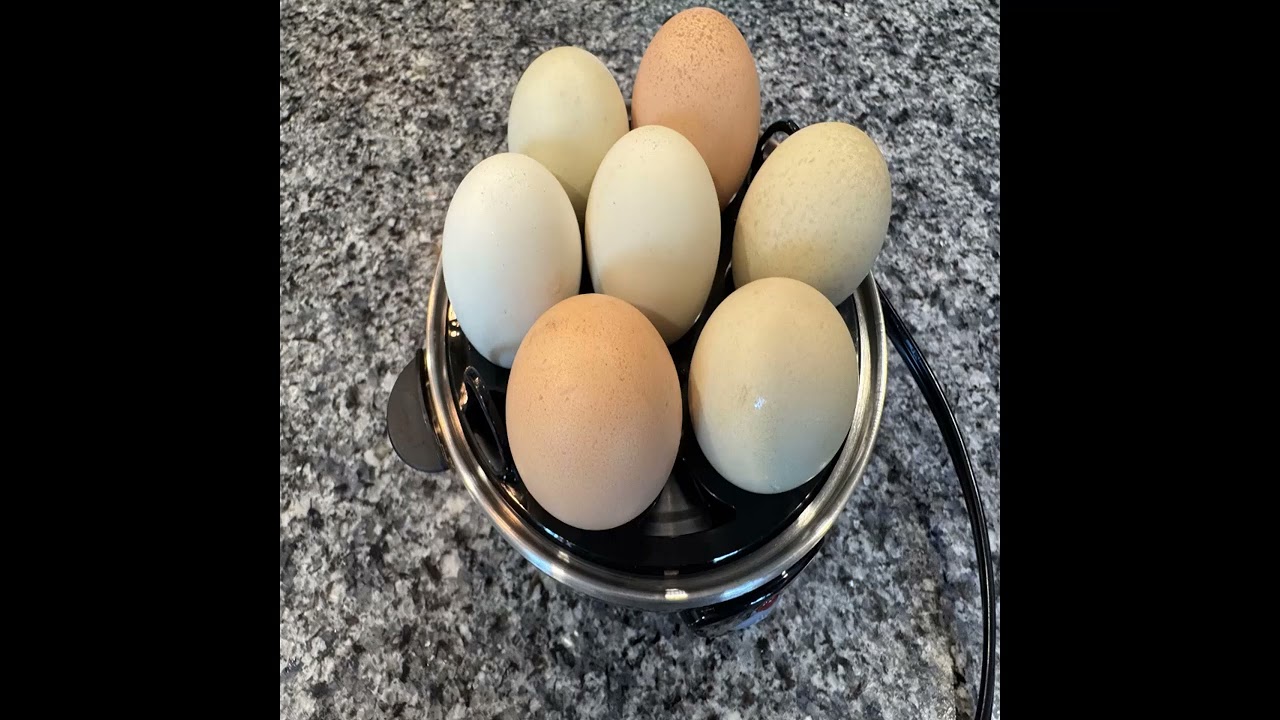 Fast Hard-Boiled Eggs with Farm Fresh! 🍳 Hamilton Beach 3-in-1 Egg Cooke