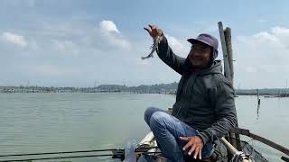 Ikan Ugal Ugalan bolo‼️ Strike Terusssss❗️Spot Rowo Jombor Klaten