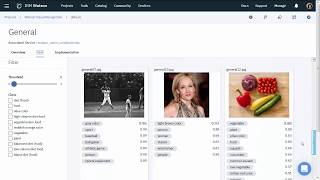 DTE: Get Started With Visual Recognition in Watson Studio