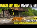 Pilibhit Tiger Reserve - Night Stay In Pilibhit Chuka Beach - Raat खुंखार जंगली जानवरो के बीच बिताई